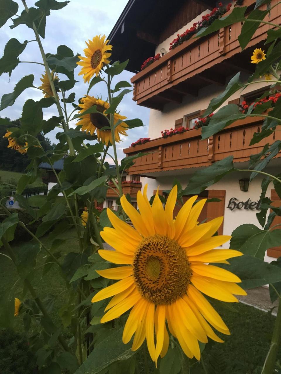 Alpenhotel Weiherbach Berchtesgaden Hallenbad Und Sauna מראה חיצוני תמונה